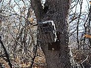 Best Trail Camera Reviews