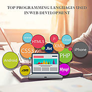 Top Programming Languages Used in Web Development