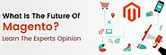 What Is The Future Of Magento? Learn The Experts Opinion.