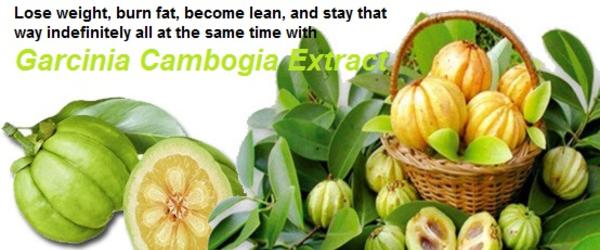 Headline for Garcinia Cambogia Extract: The "Holy Grail" in Losing Weight