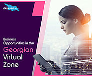 Great Opportunity for Business in the Georgian Virtual Zone
