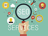Professional Search Engine Optimization (SEO) Services