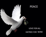 Peace Foundation (@ICD_Egypt)