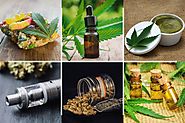 The Unlimited Guide Of CBD Products For Beginners In Texas