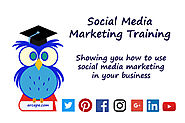Digital Marketing Training in Bhopal - Learn with Live Projects | RankFrog
