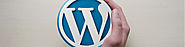 What is WordPress and How Can Writers Use It? – ThisHosting.Rocks