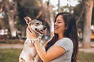 Top Questions to Ask When Choosing a Dog Kennel in Jupiter