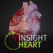 INSIGHT HEART (2,29€)