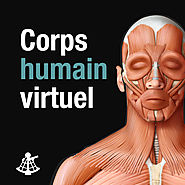 Corps humain virtuel (5,49€)