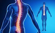 The Manipulation and Massage Technique Used By a Chiropractor