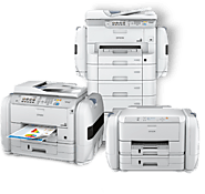 Epson Printer Offline Support