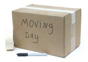 (14 Days Before) Create Special Moving Box for You