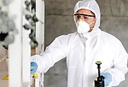 When Should You Call Professionals for Mold Testing?