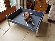 Elevated Dog Bed - Henry Wag | Canine Concepts
