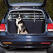 Buy Car Safety Grid Dog Guard Online UK