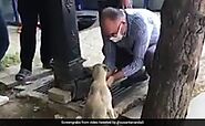 Watch: A Thirsty Dog Was Struggling To Get Water From Tap, Then A Man Did This