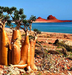 SOCOTRA - The Island Of Happiness