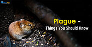 Plague  - Things You Should Know WiseRX