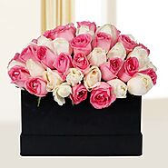 Buy or Order Peaceful Pink N White Roses Online | Midnight Gifts Online - OyeGifts.com