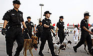 Why Do We Need Patrol Dogs Handlers in the Modern World? – kmbsecurityandcleaningservices