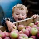 Hudsonville Farmers Market