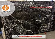 Indian Granite in India Black Forest Granite Tripura Stones