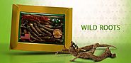 Shop Online 100% Wisconsin Made American Ginseng Products