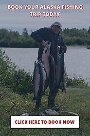 Kenai River King Salmon - Alaskan Gamefisher