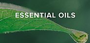 Avail the Miraculous Young Living Essential Oils For Healthy Living