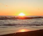 enjoy a moment of calm