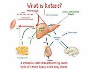 12 Keto Diet Mistakes That Won’t Let You in Ketosis | Ketolabs