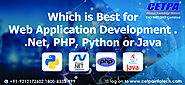 Which is Best for Web Application Development - Dot Net, PHP, Python or Java