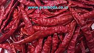 Teja/S17 Chili Pepper Exporter, Supplier, Manufacturer in India