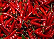 Fresh Red Chili Exporter, Supplier, Manufacturer in India