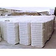 Bale of Cotton Exporter, Supplier, Manufacturer in India