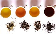 Different Types of Tea Available in India | Assam & Darjeeling Tea