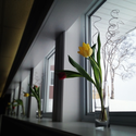 Beautiful tulips line the basement reception room window for a special touch. #riverhouseinn #montague