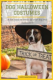 Halloween costumes for dogs! It is so much fun to dress up our dogs for Halloween, but you don't want to spend hundre...