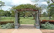 Visit the New Farm Park