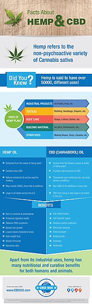 Hemp Vs. CBD Infographic