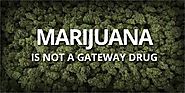 Cannabis Acts as a Gateway Drug