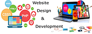 Web designer & development