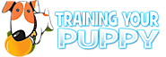 Puppy House Training Do’s And Don’ts