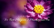 5+ Best Magento 2 Marketplace Pro - Premium for website