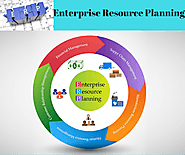 How a web based ERP solutions play a key role in the success of a particular business