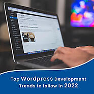 Probing How Do the Wordpress Developers India Benefit a Business