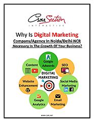 Why is Digital Marketing Company/Agency in Noida/Delhi NCR Necessary in the Growth of Your Business?