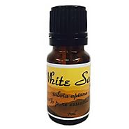 Buy White Sage Essential Oil Online In Australia | Giftocity