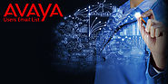 Avaya Users Email Lists