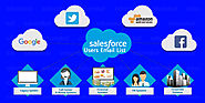 Salesforce Users Email Database: List of Salesforce Customers in USA